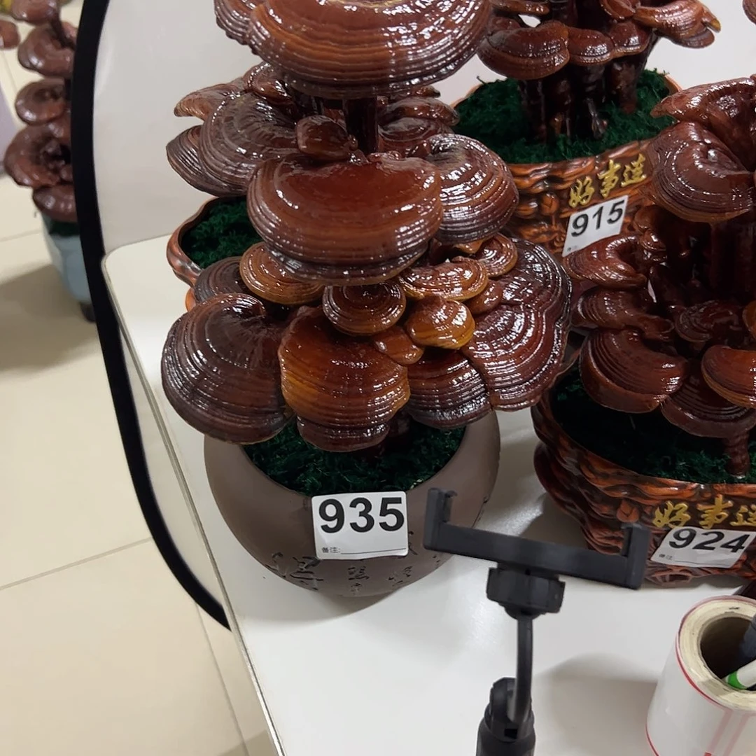 灵芝盆景 家居摆件