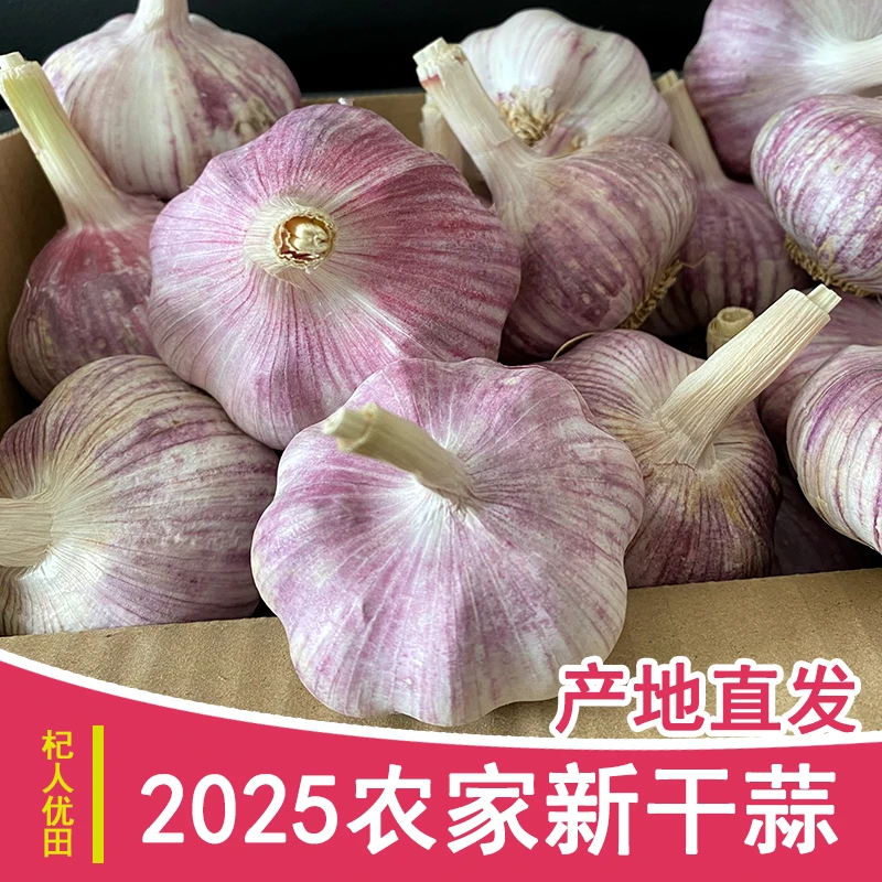 新晒5斤2025新干蒜紫白皮大蒜产地直发大蒜头河南大蒜1斤3斤9斤