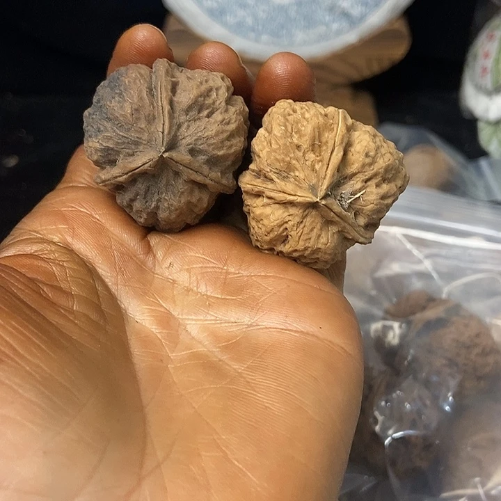 把件文玩核桃云南铁核桃基地81