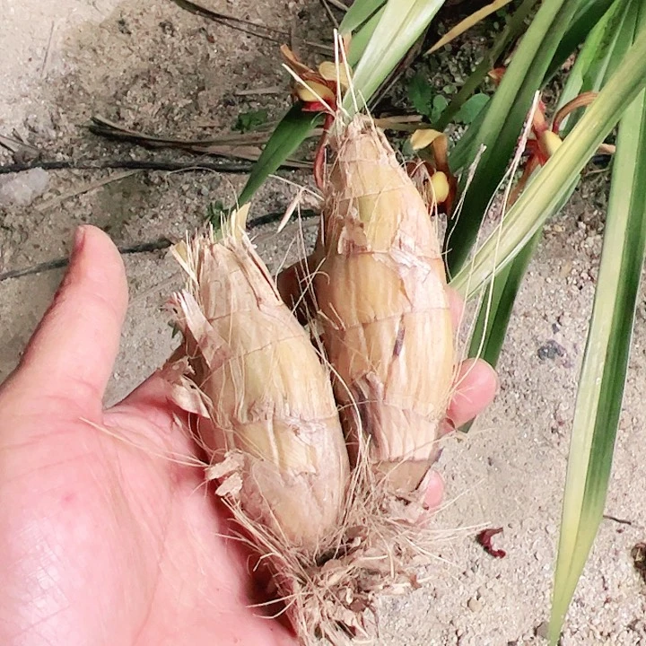 完全开放1111111111