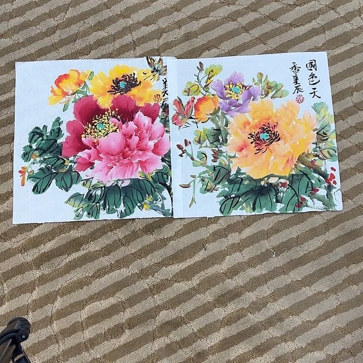 国画小**?花鸟的翅膀是一个