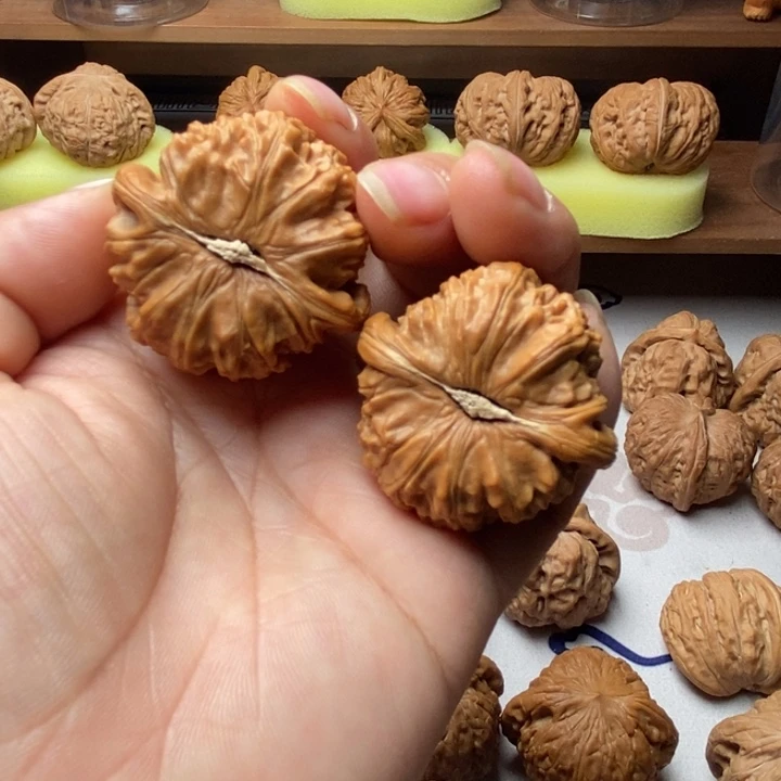 大叶紫檀（黑酸枝木类）白狮子36尺有修，不退不换