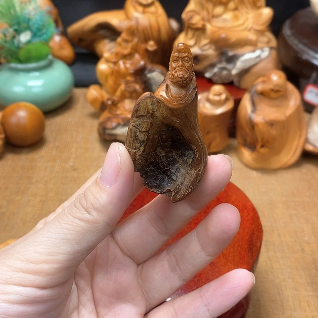 柏木（崖柏）一物一图