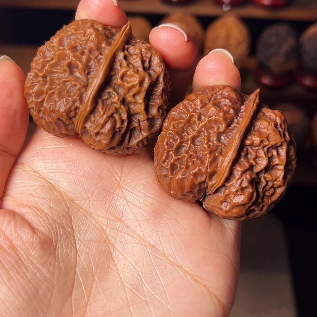 足***7     白泽       44