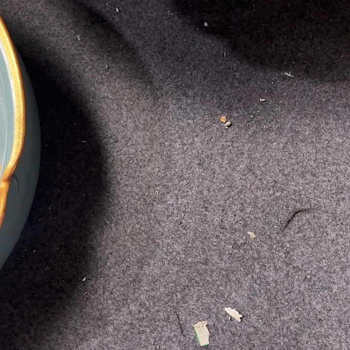 摆件丝**路瓷瓷瓷瓷瓷瓷