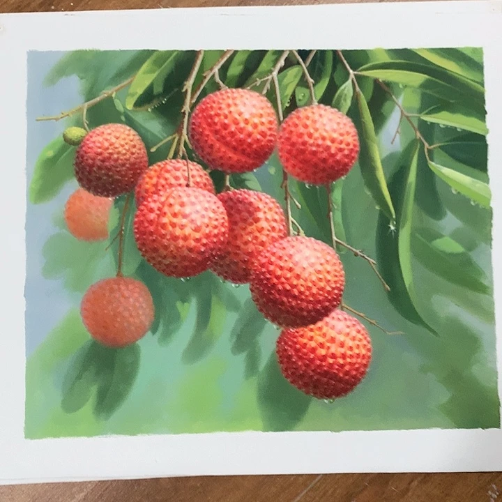 油画50*60手绘荔枝高档画