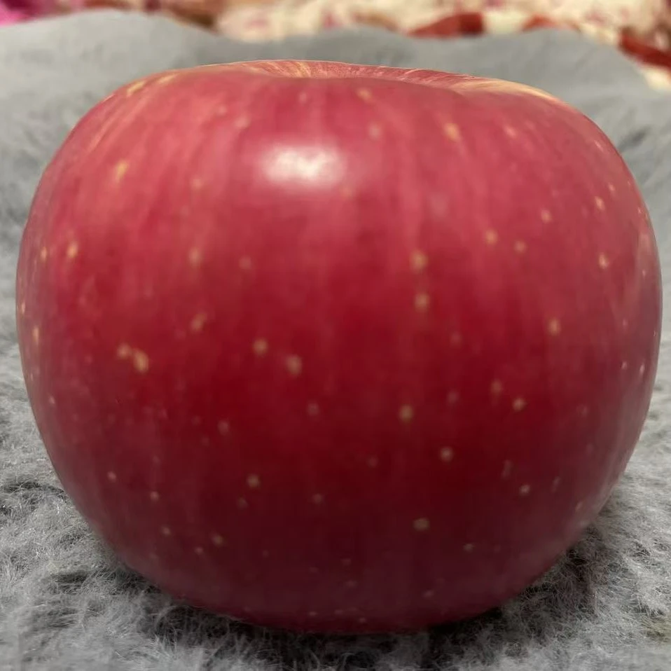 红富士苹果现摘现发4.5斤*箱