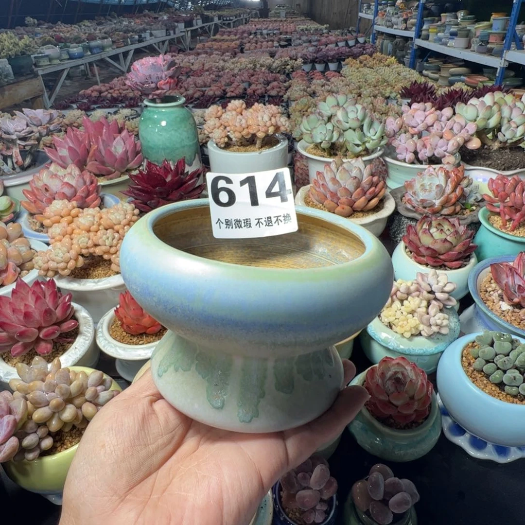 特价花盆满50发货内口10