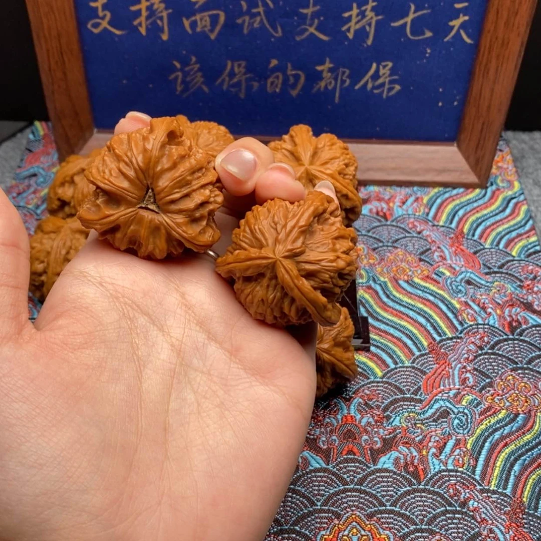 【闪购商品】Z*.白狮