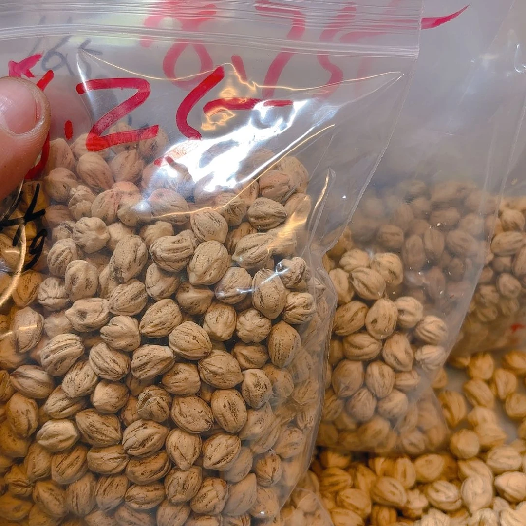 2****7百香籽散子 560 克散子