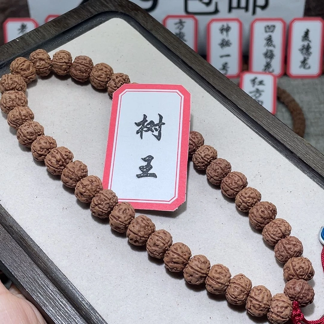 手串金刚菩提221树王