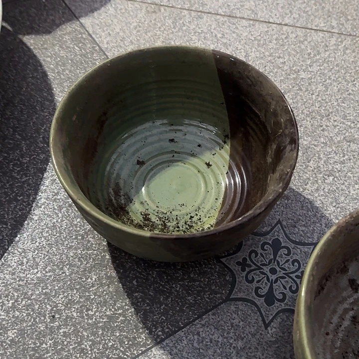 瓷片陶瓷盘子碗啥都有