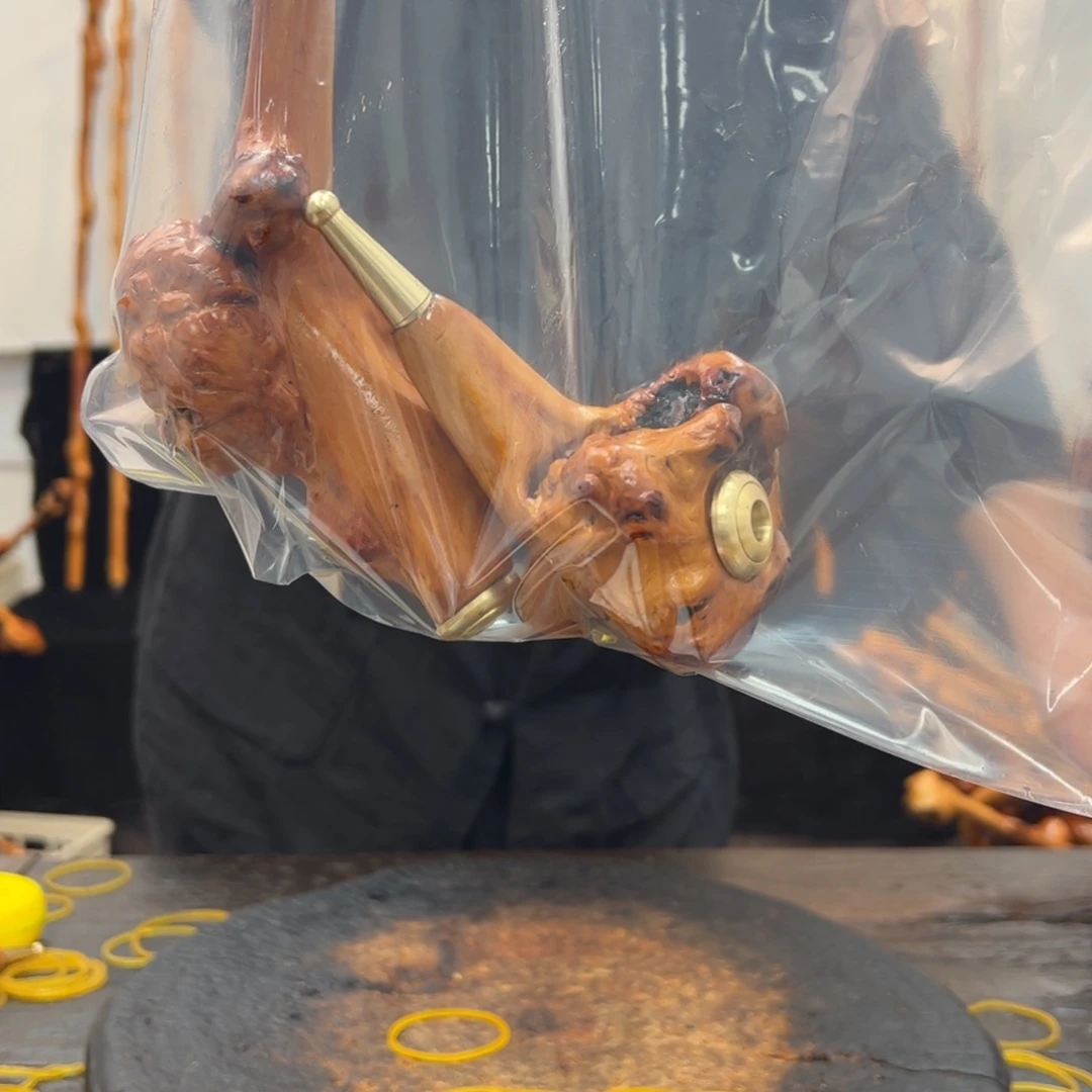 其他黑果木黑果木490