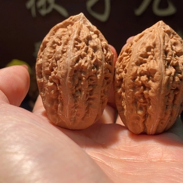 木质类聚核财婉楸18