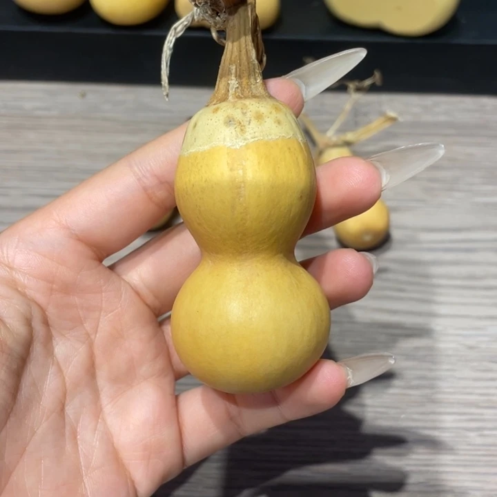 木***涛葫芦葫芦葫芦葫芦