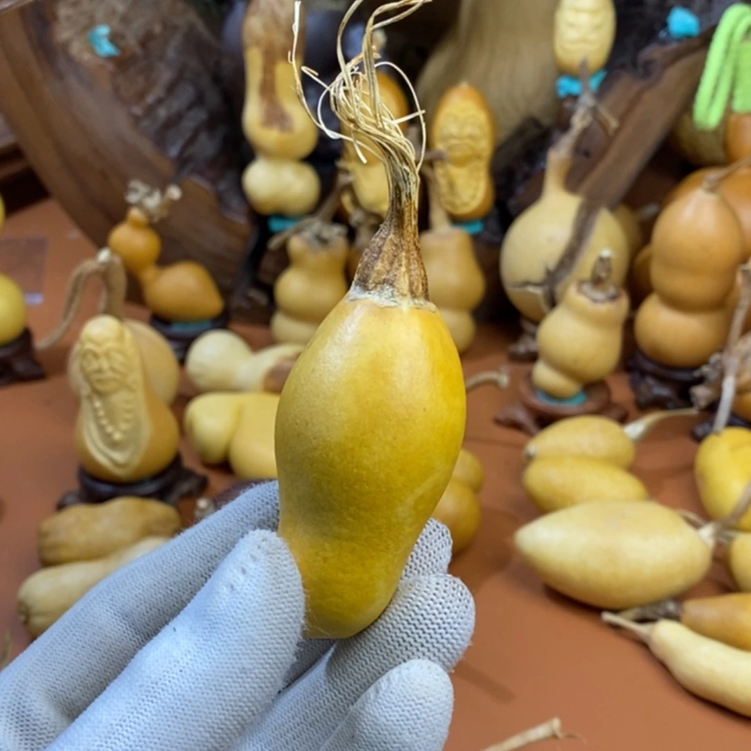 用***4哭他路途教练咯教练咯