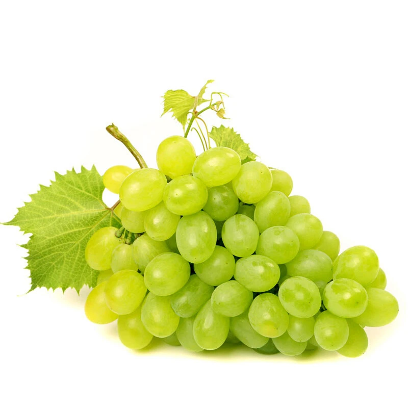 【邮政补贴】新疆无核白葡萄无籽提子新鲜当季水果1-5斤装香甜多汁坏果包赔新疆维吾尔自治区