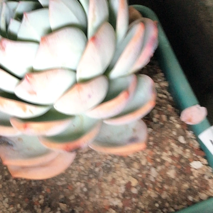 ?***°116////////////////////