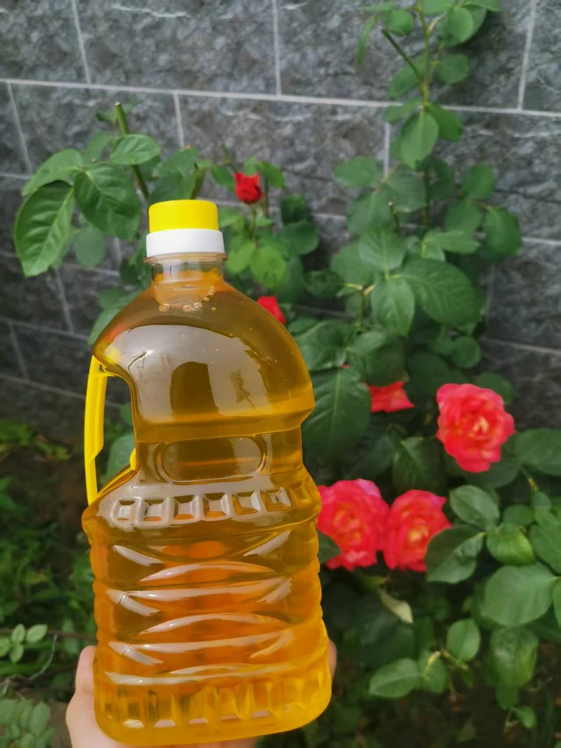 生榨黑芝麻油农家自榨冷榨河南芝麻油点灯油拔月子油