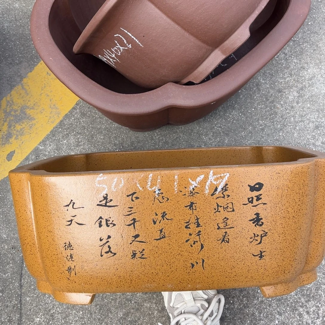 花盆紫砂盆景艺术