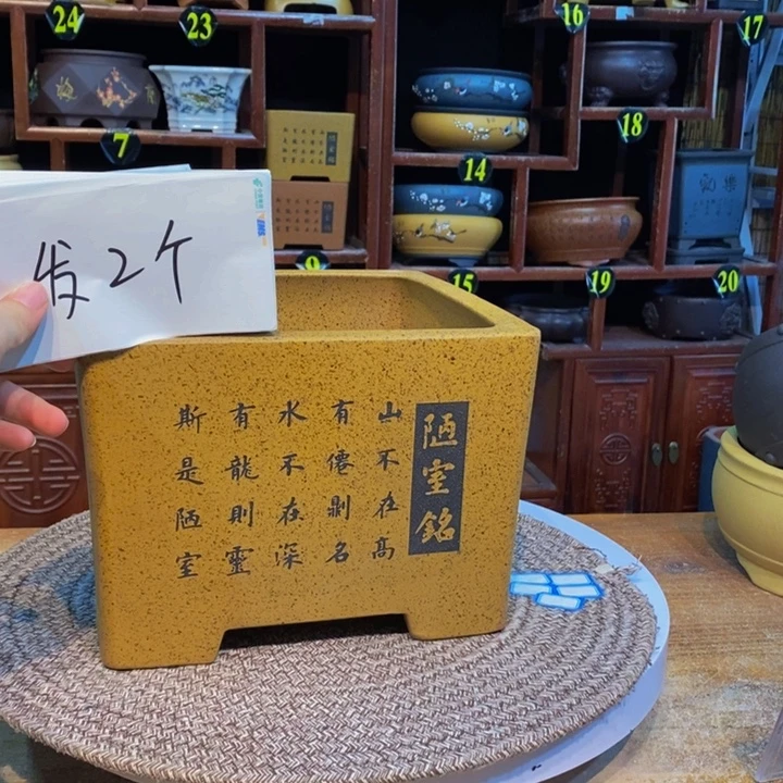 紫砂花盆紫砂花盆