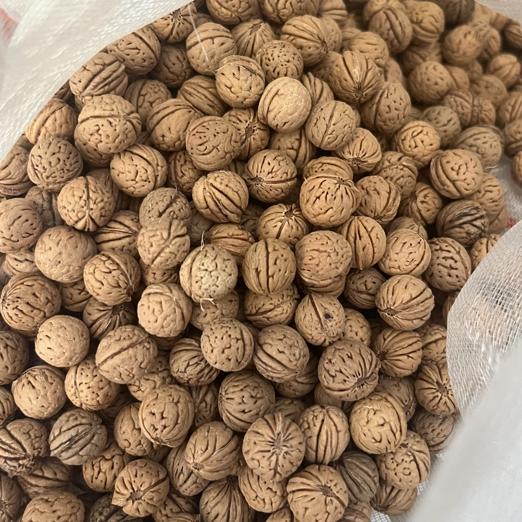 【野生桃核】2025散籽 手串 拍打袋原料随机发100米400颗