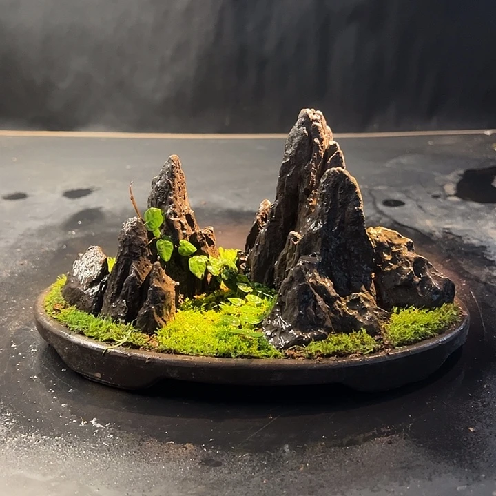 手工制作宋山盆景009