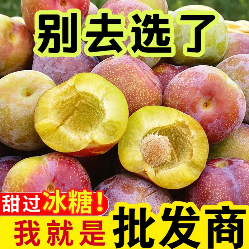 云南绥江半边红脆红李脱骨李新鲜现摘现发