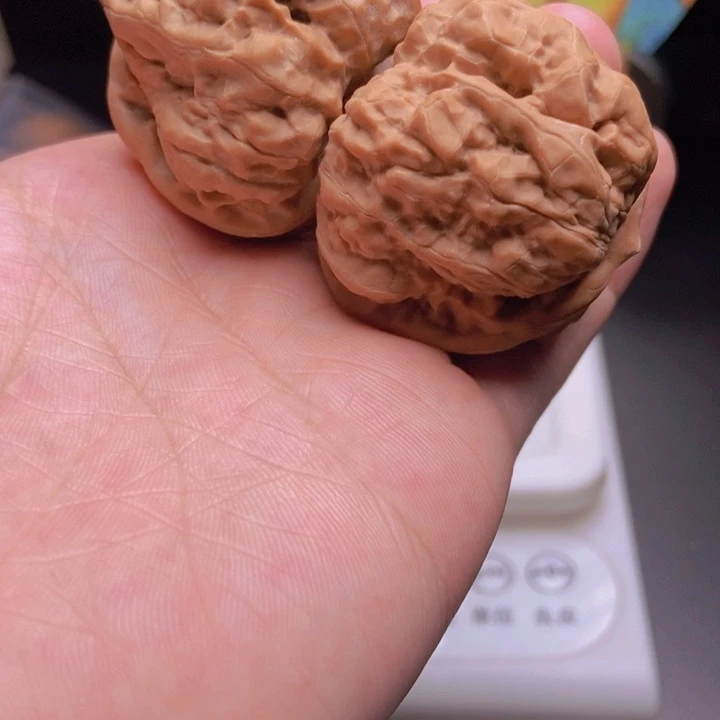核桃4344肌肉蹬腿