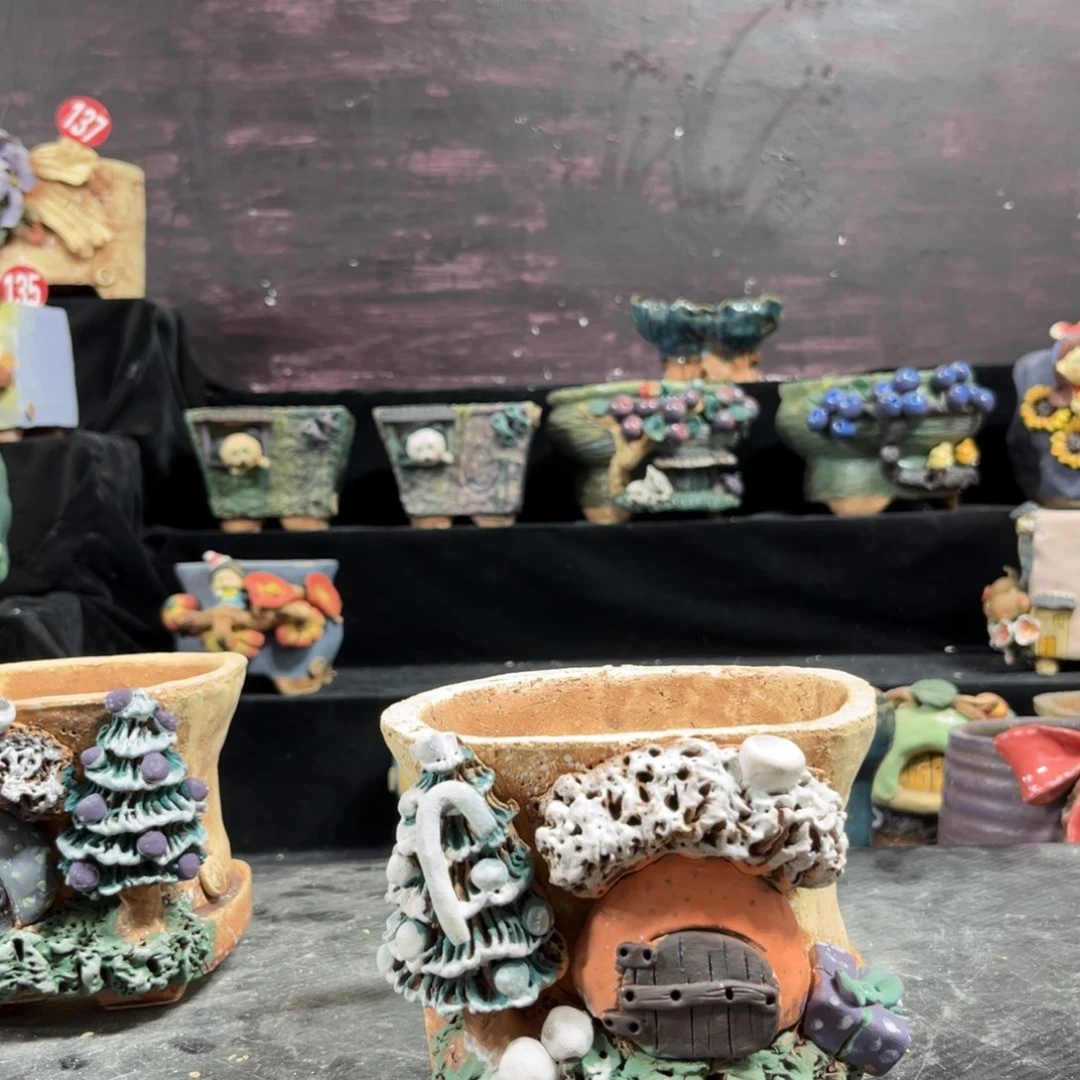 红陶春****白狐花器多肉