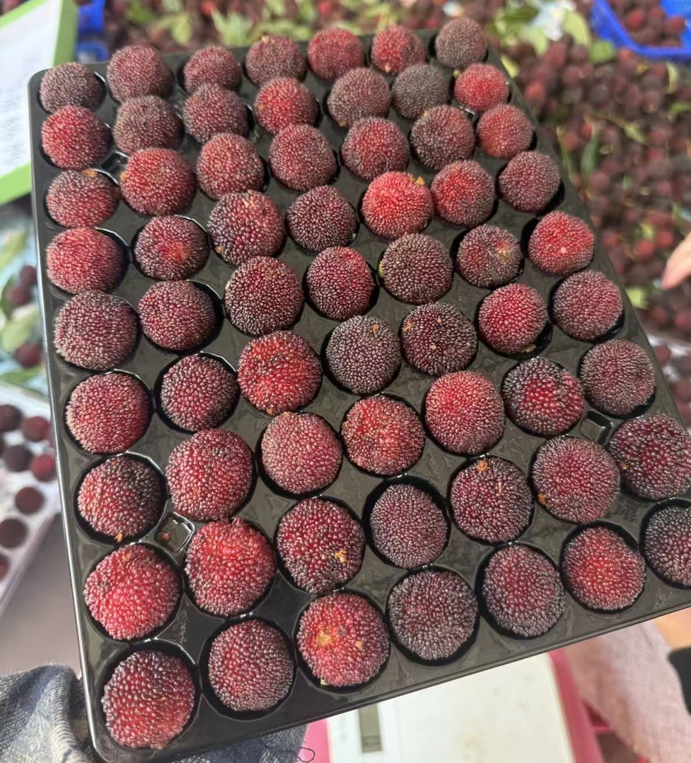 【5A】云南高山新鲜杨梅好吃精选颗粒包装