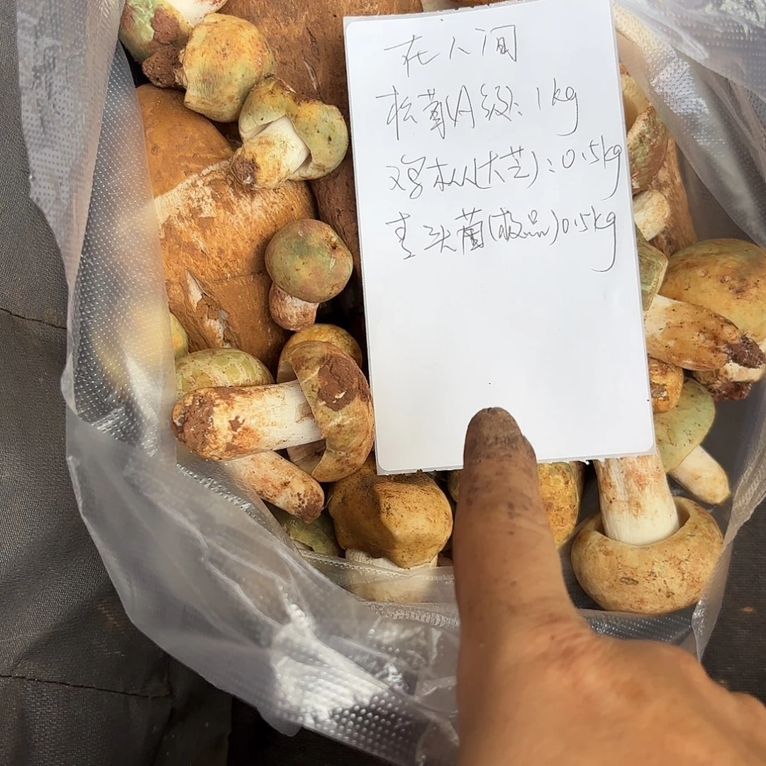 在***间云南南华野生菌中国大陆