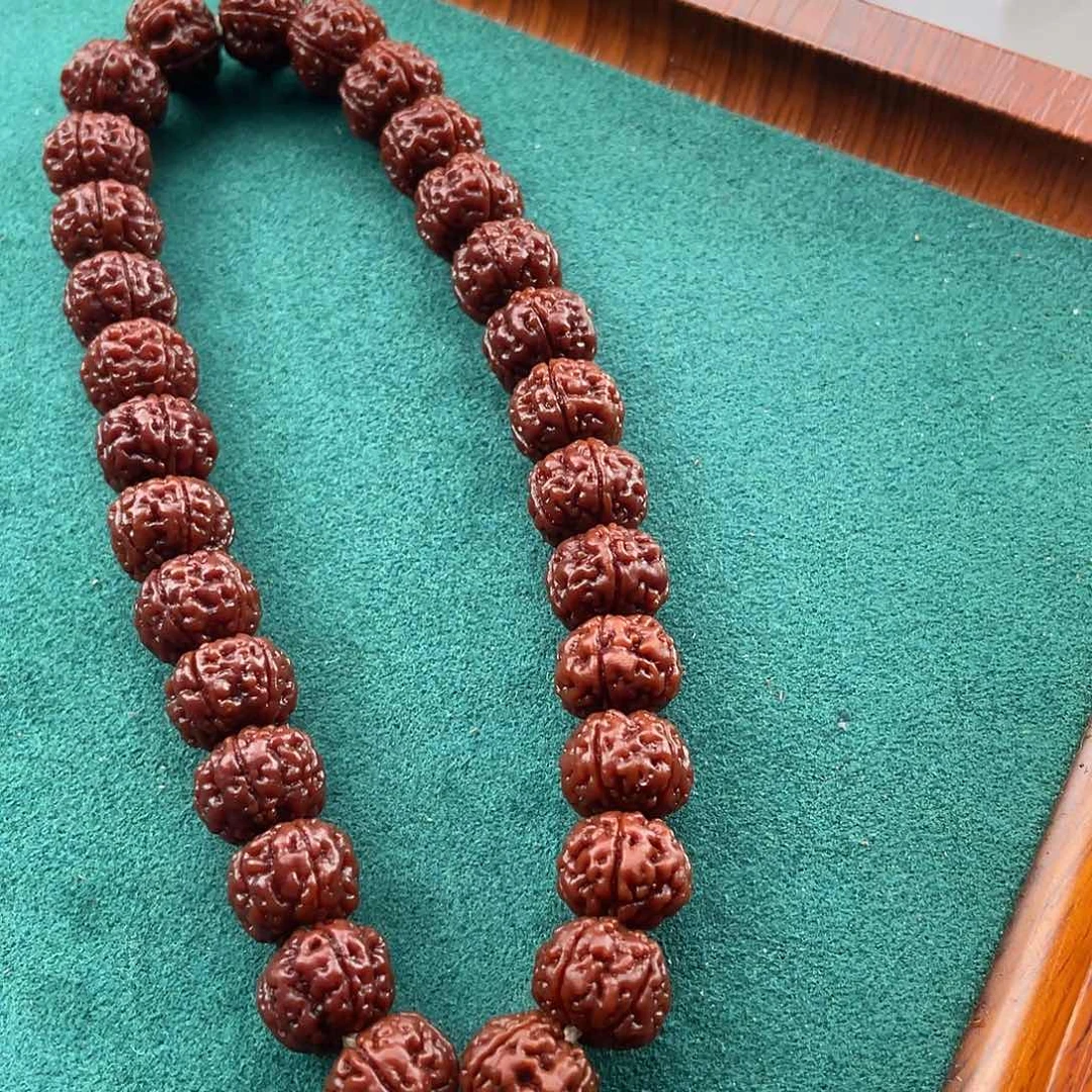 荔***枝菩提籽类老树王手持