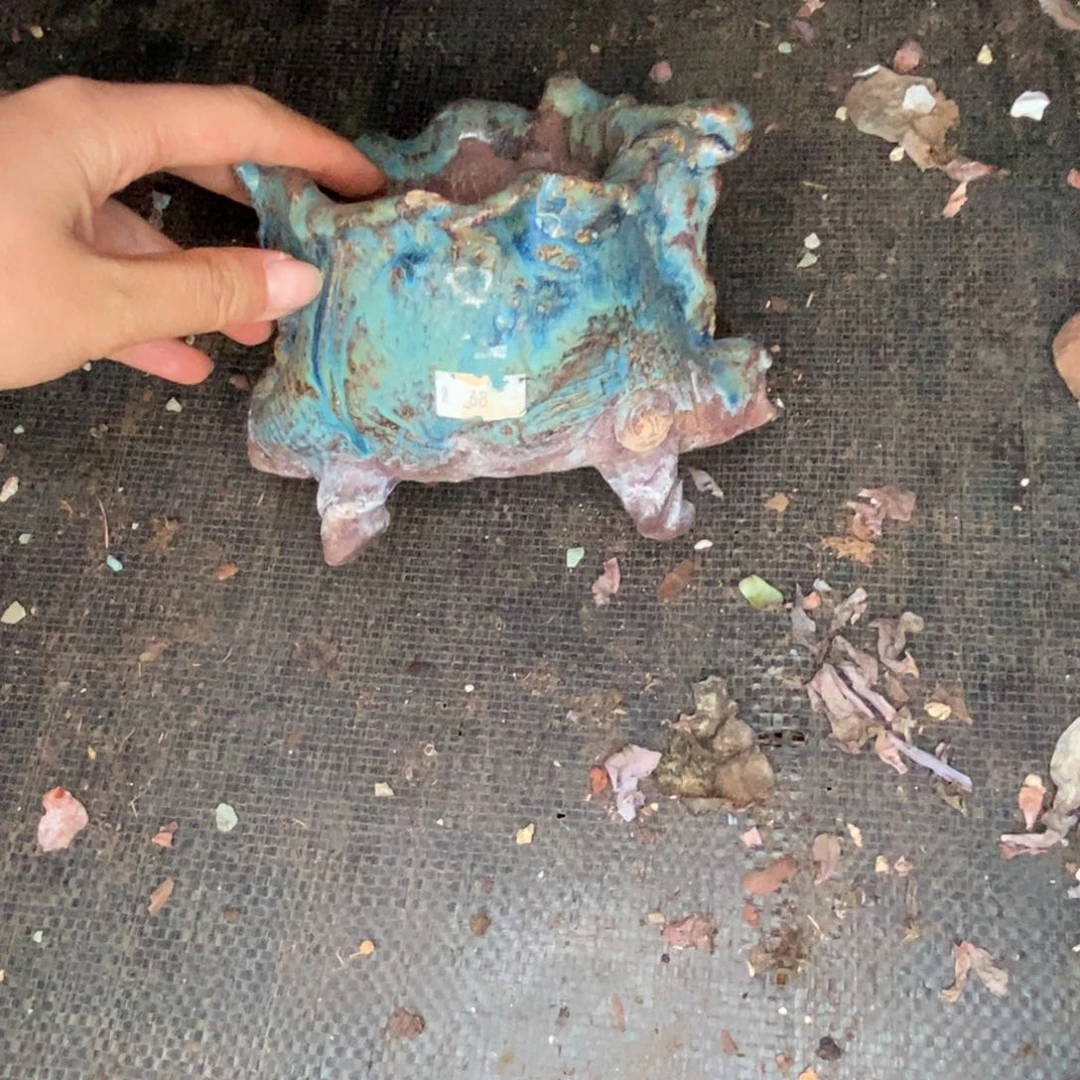 ****玖花盆一个。