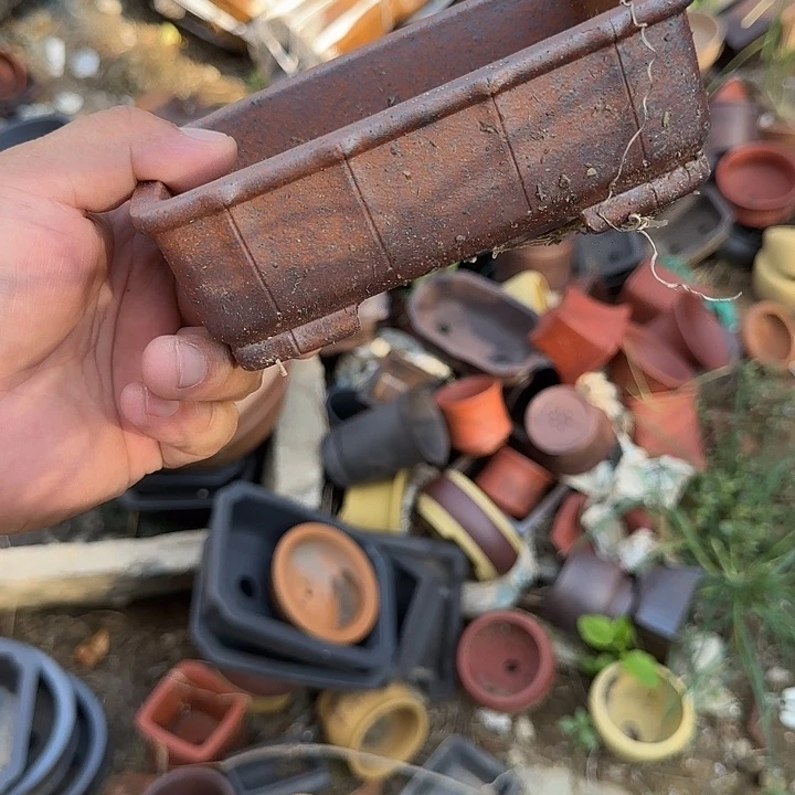 你是什么情况呀亲爱呢还是