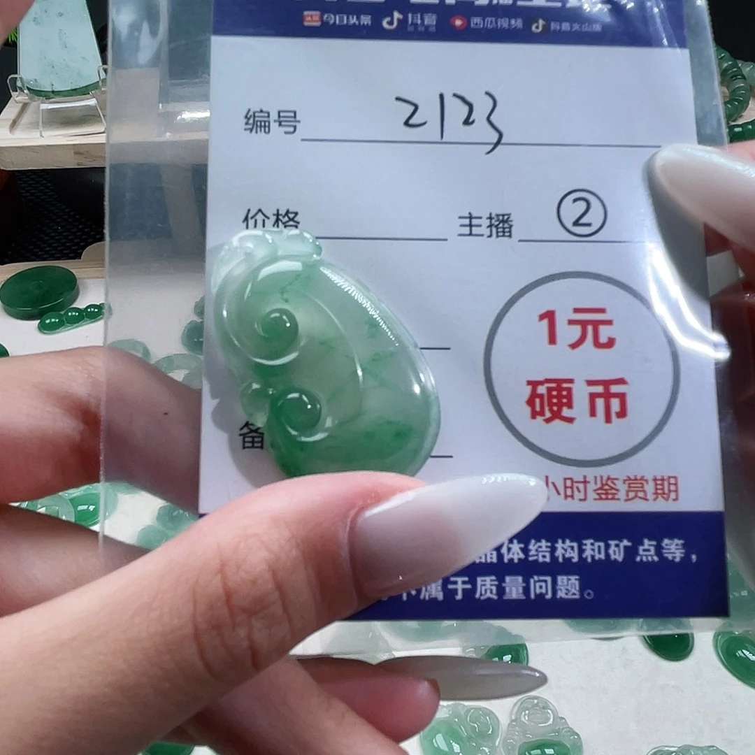 石英质玉未镶嵌颈饰