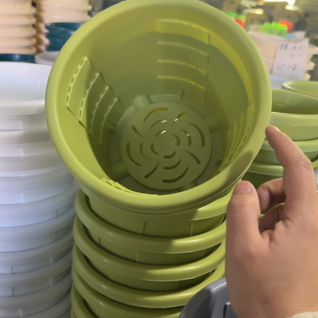 测19口径6个无拖果绿