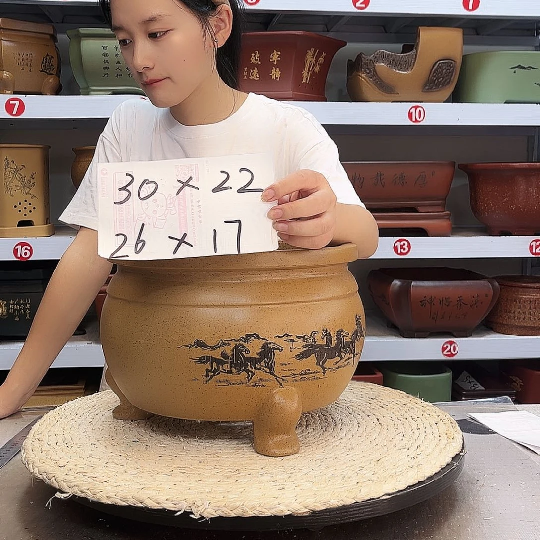 紫砂花盆紫砂花盆