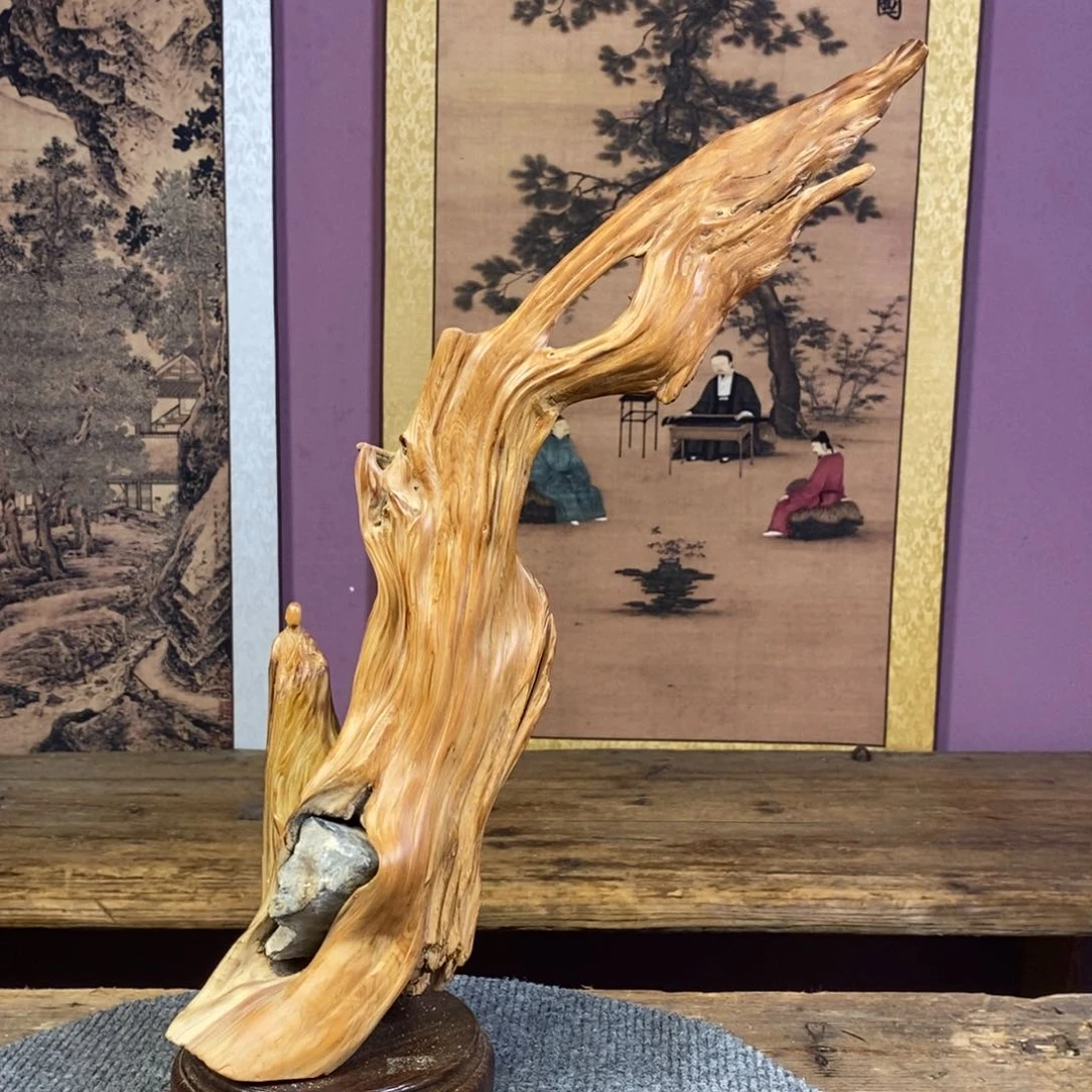 柏木（崖柏）天*崖柏。