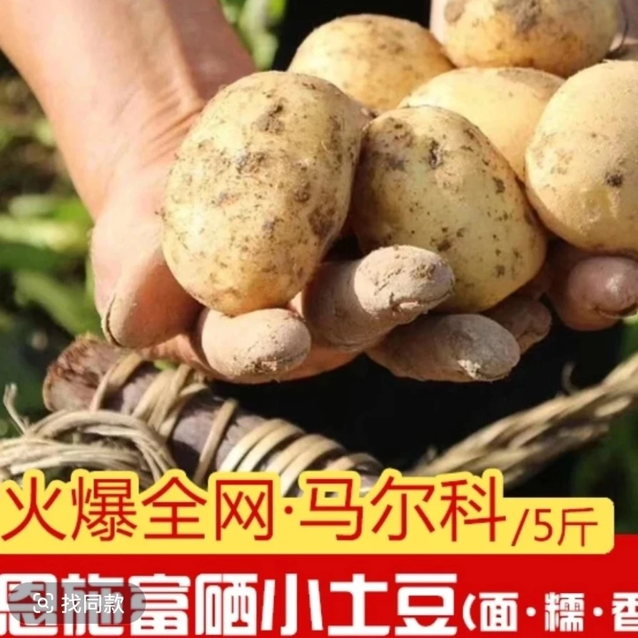 恩施新鲜小土豆洋芋本地马尔科高山马铃薯富硒小土豆
