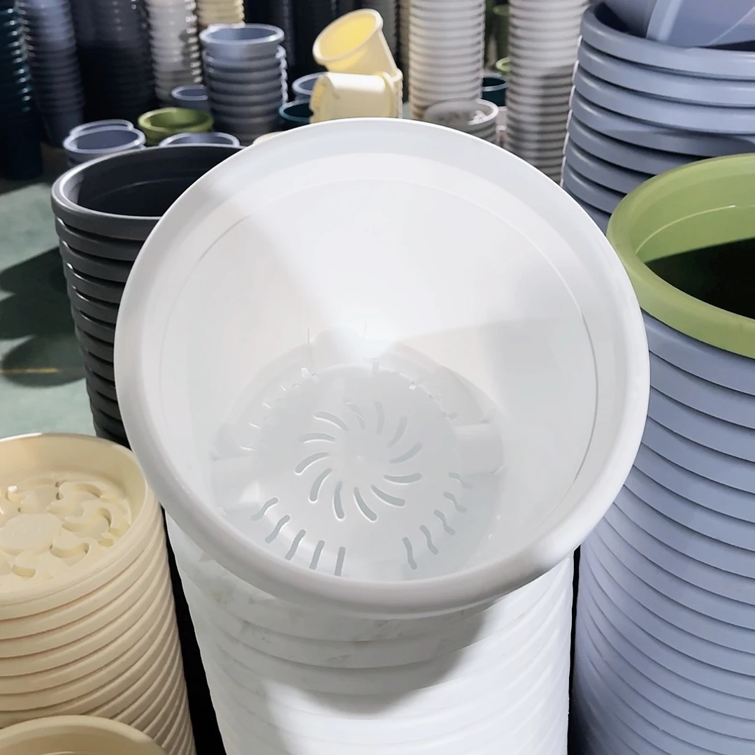 红陶四季5号5个白色5个蓝带拖