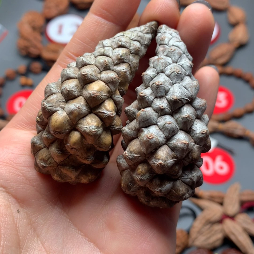 核桃10龙鳞凤爪松塔