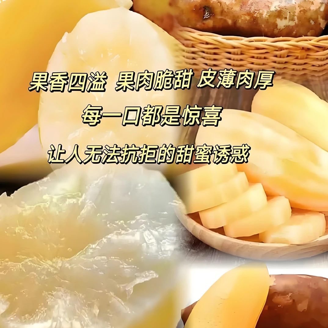 云南天山雪莲果头茬新鲜水果脆甜多汁黄心红心应季水果红心雪莲果