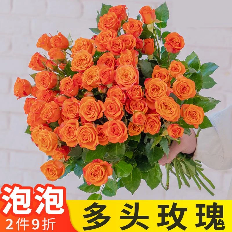 云南基地多头玫瑰鲜花折射橙芭比泡泡水养鲜切花真花
