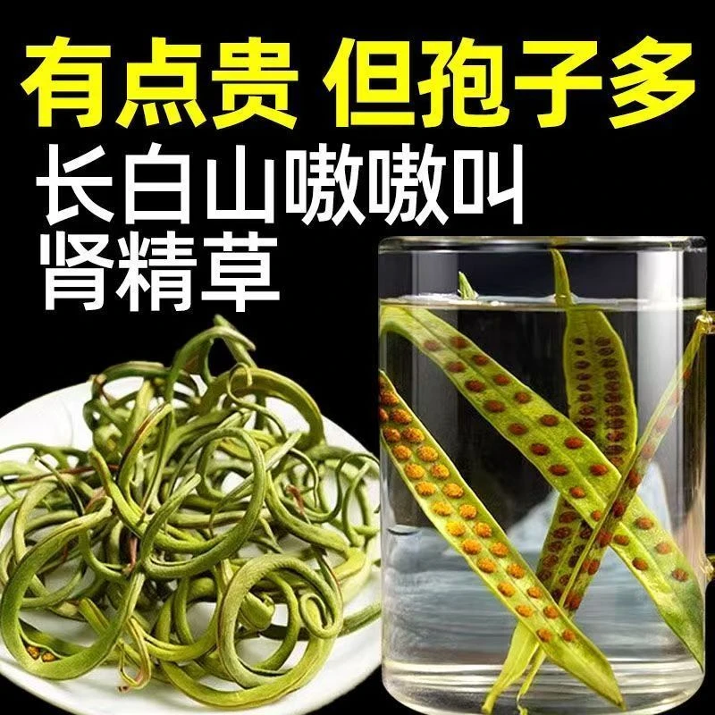 【孢子多】长白山深山黄金草肾精草东北特产搭配枸杞泡水喝