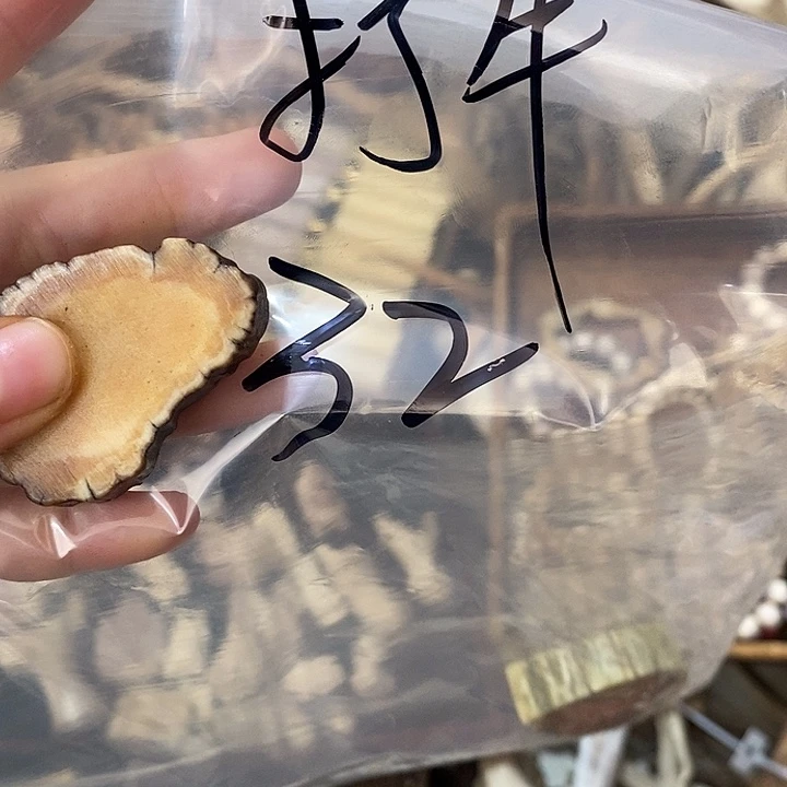 *****无非金属鹿角鹿角