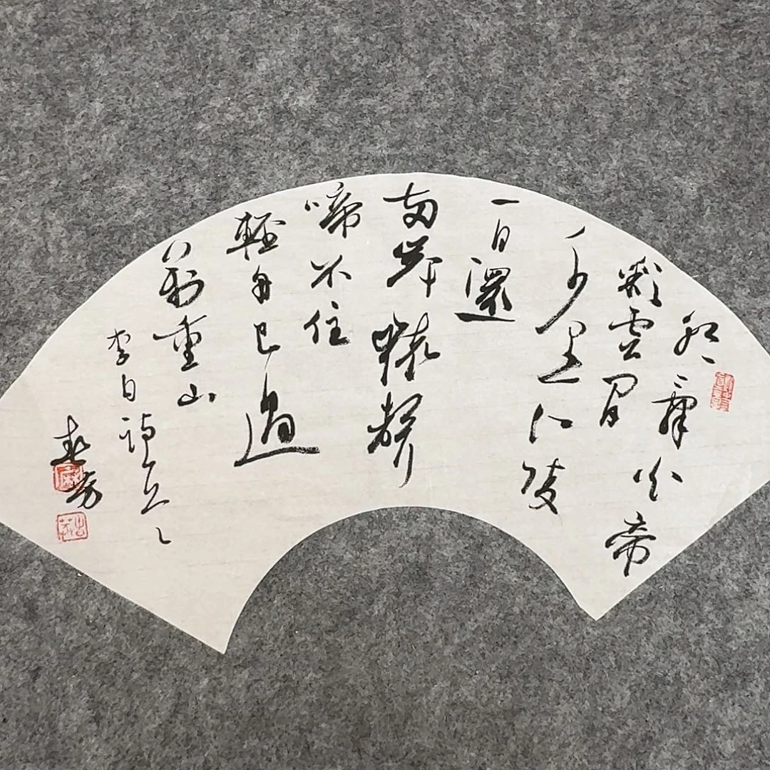 书法国展书家麻春芳44×20
