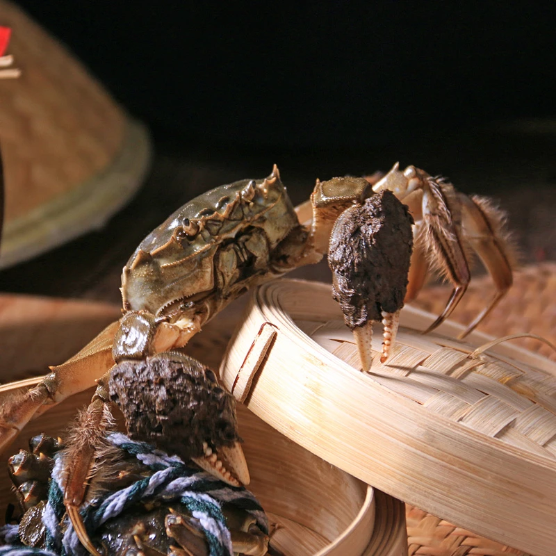 【活蟹】固城湖宁淳螃蟹公4.5两母3.5两6-10只装顺丰包邮自产自销