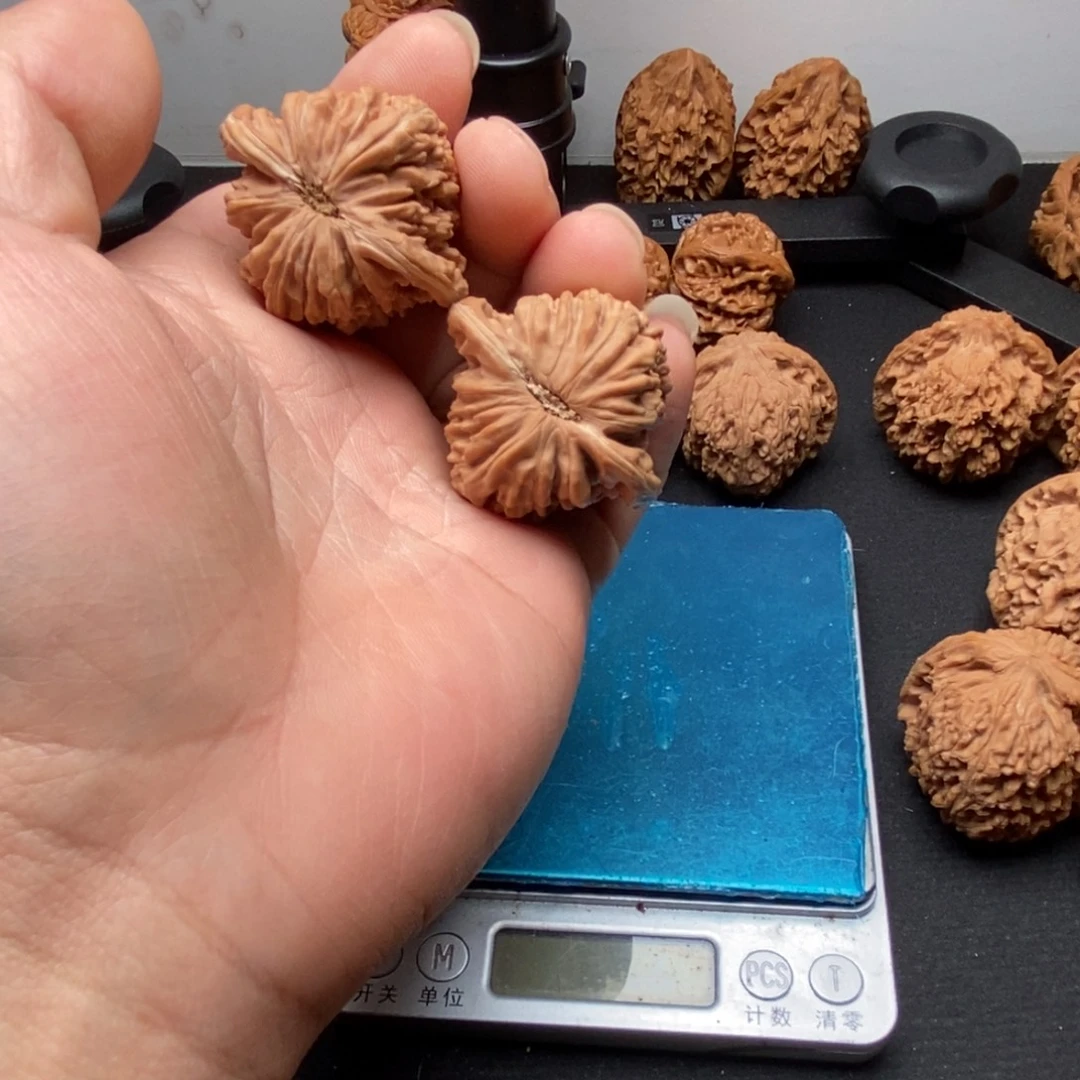 青***羊桃核把件文玩核头