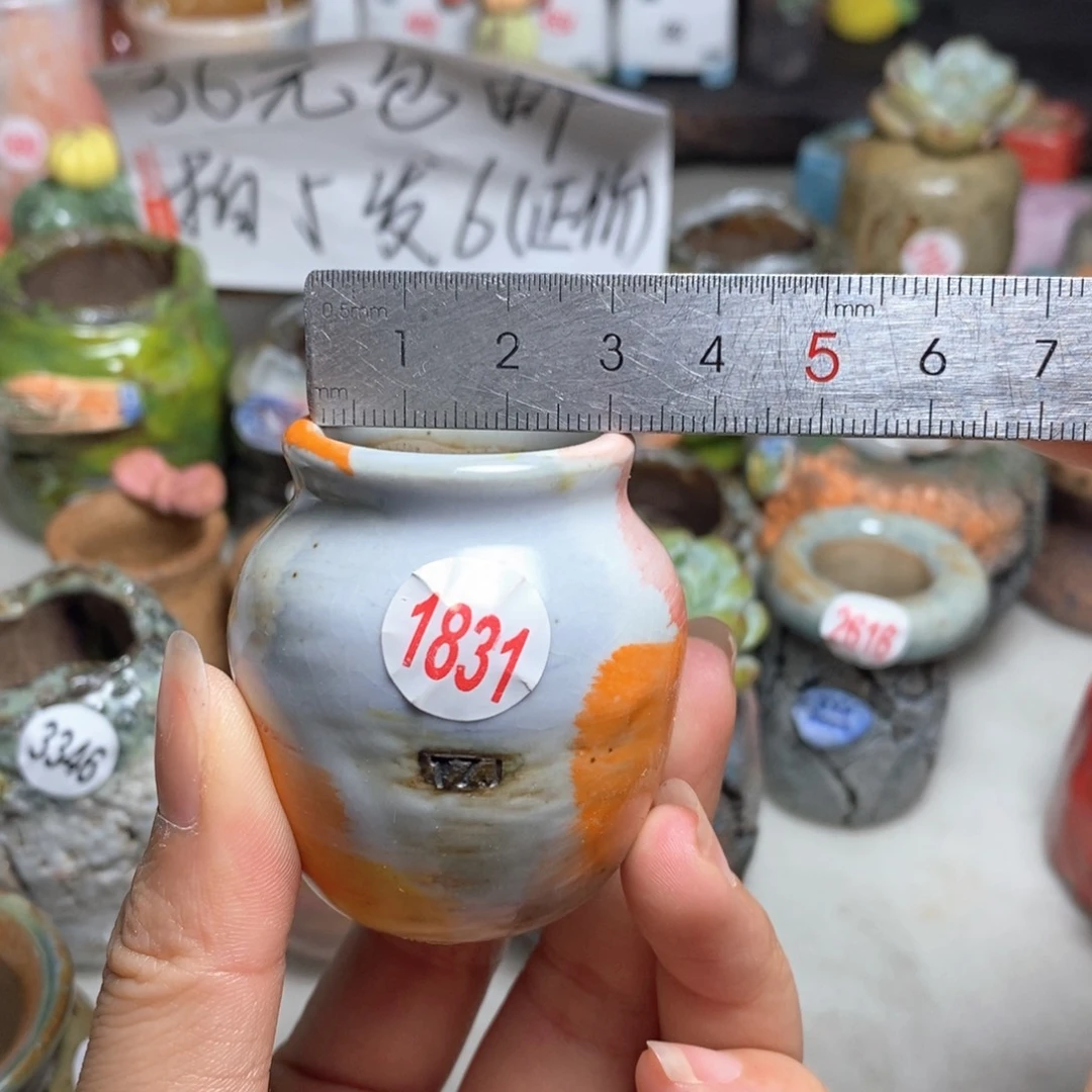 拍5送一个小礼物